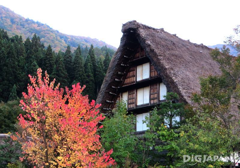 白川乡合掌村(岐阜县)