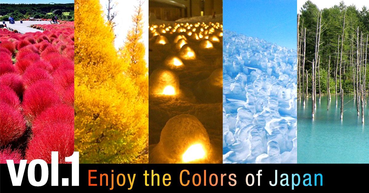 Enjoy The Colors Of Japan Fall And Winter Edition Digjapan