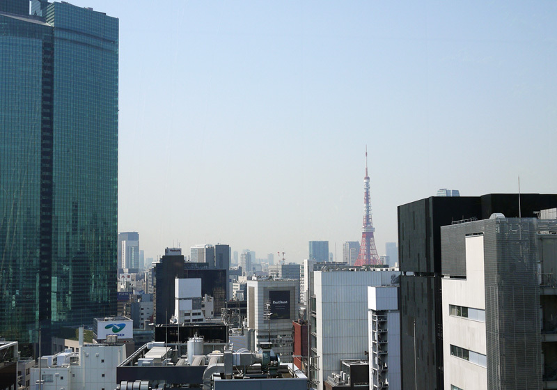 從屋頂庭院可以眺望到東京塔