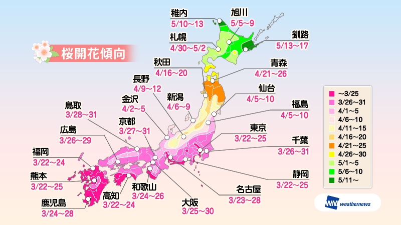 日本主要都市 櫻花開花預測